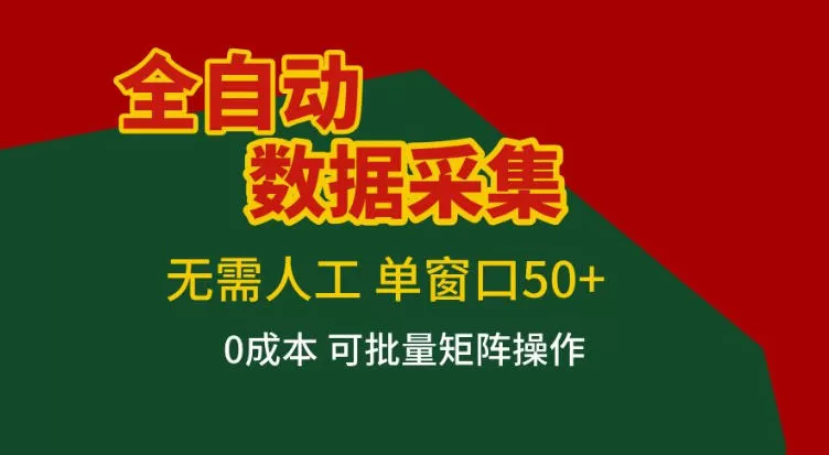 全自动数据采集，无需人工，单窗口50+，0成本可批量矩阵操作【揭秘】-网创指引人